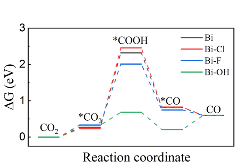 图1.以Bi为活性中心的催化自由能图