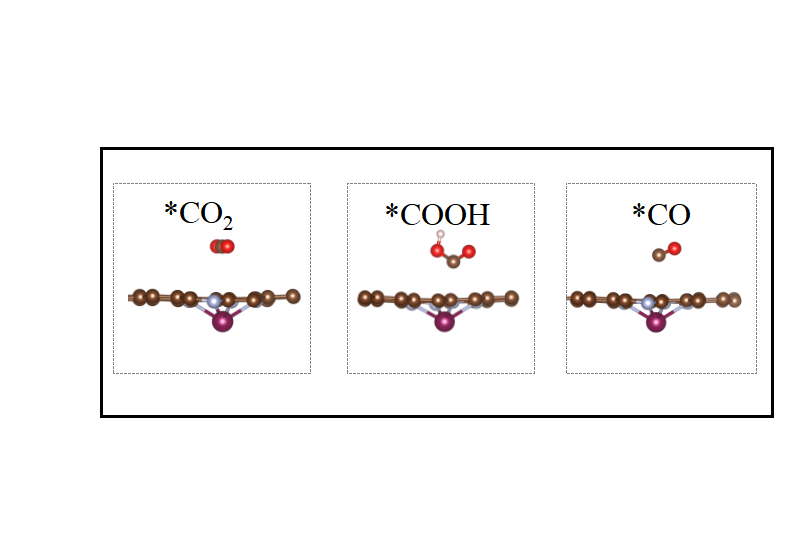 图4.吸附CO₂、COOH和CO的结构示意图