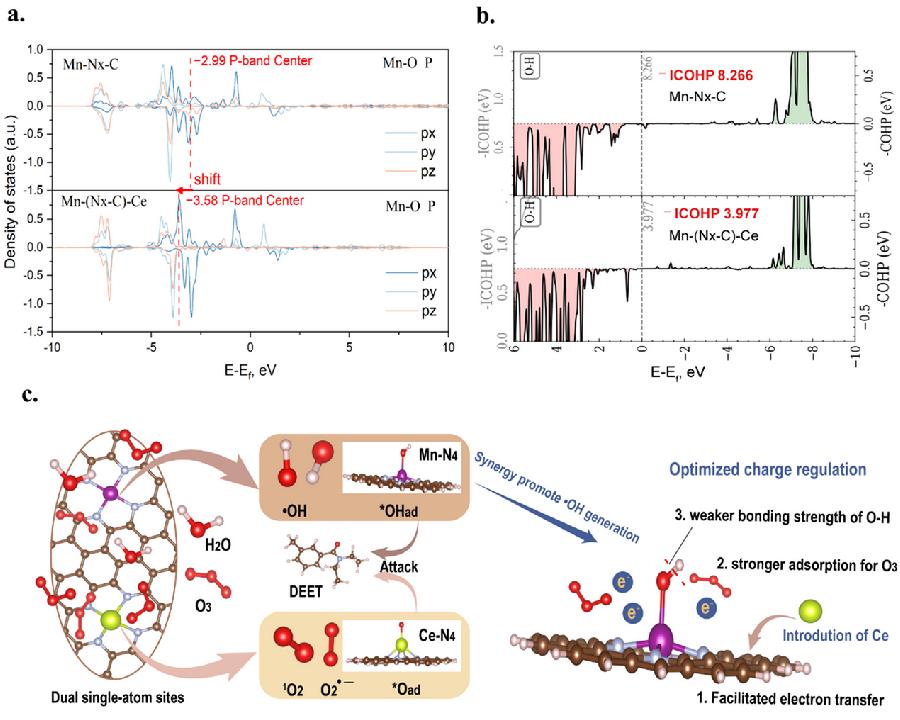 图3.（a）Mn-O的P带中心;（b）O-H键的晶体轨道哈密顿居群(COHP);（c）双中心协同触发ROS生成的机制图