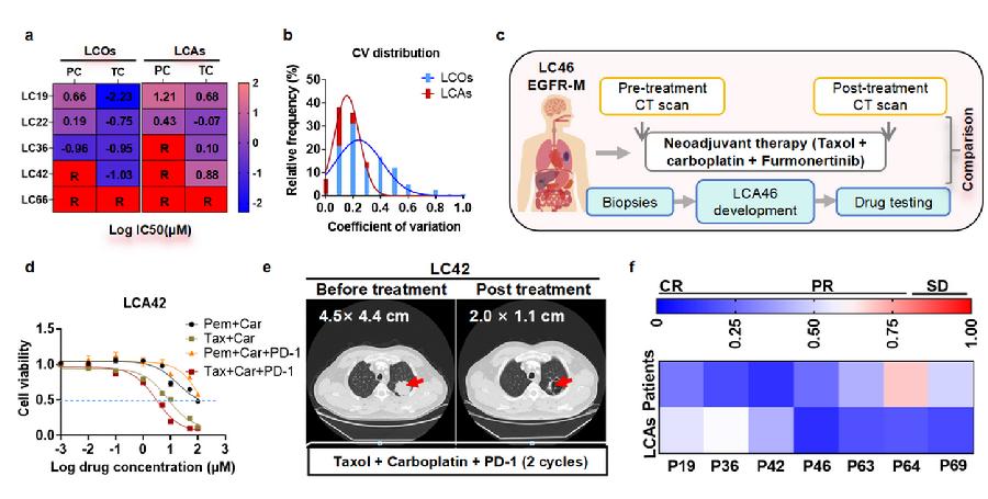 图5.LCA模型具有良好的临床药物响应一致性