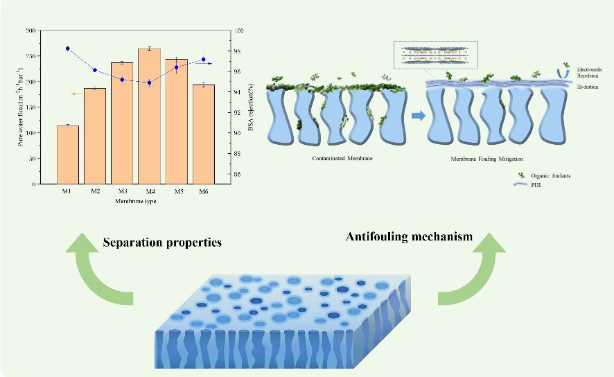 图4. 复合膜的分离性能及耐污染机理