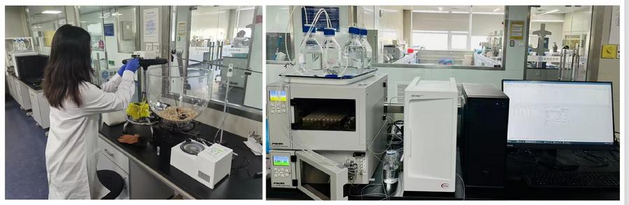 图5.微透析-液相色谱-电化学神经递质检测