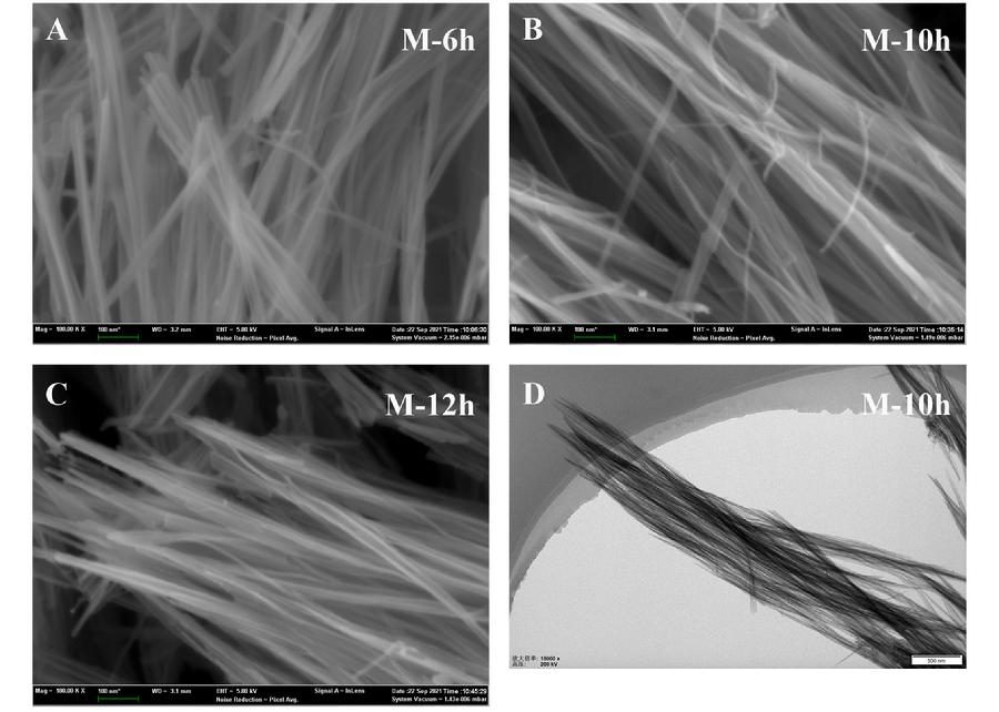图5.超薄Mn₃O₄纳米带催化剂