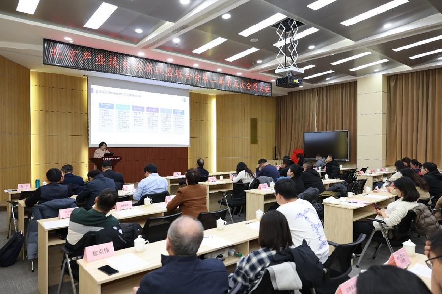 陈红汇报2024年工作总结及2025年工作计划