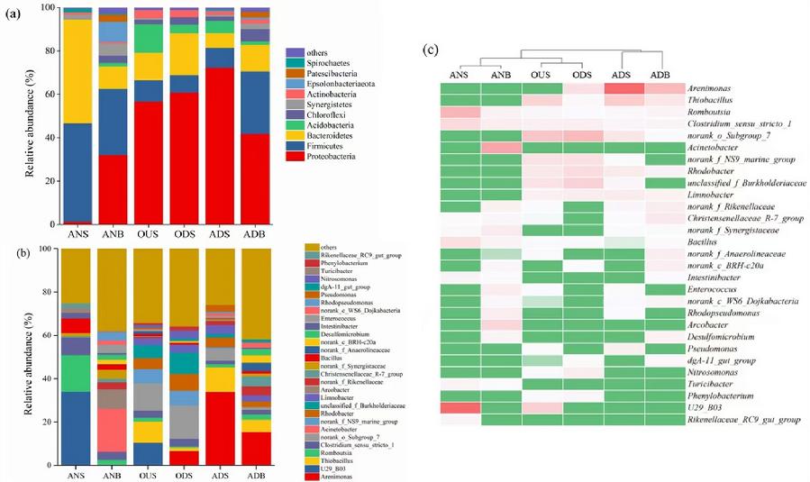 图2. 不同门、属的微生物相对丰度及基于Illumina®Miseq 16S rRNA测序的菌属热图