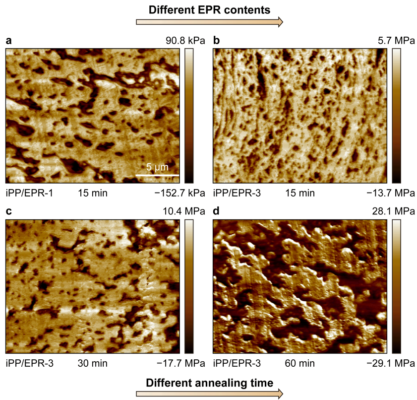 图3.支化交联聚丙烯多相共聚物合金在不同EPR含量 (a, b) 和不同退火时间 (c, d) 的相结构演化AFM照片