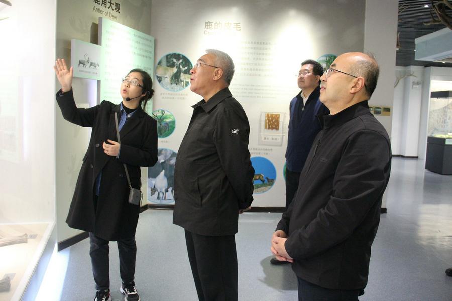 参观《世界之鹿展》