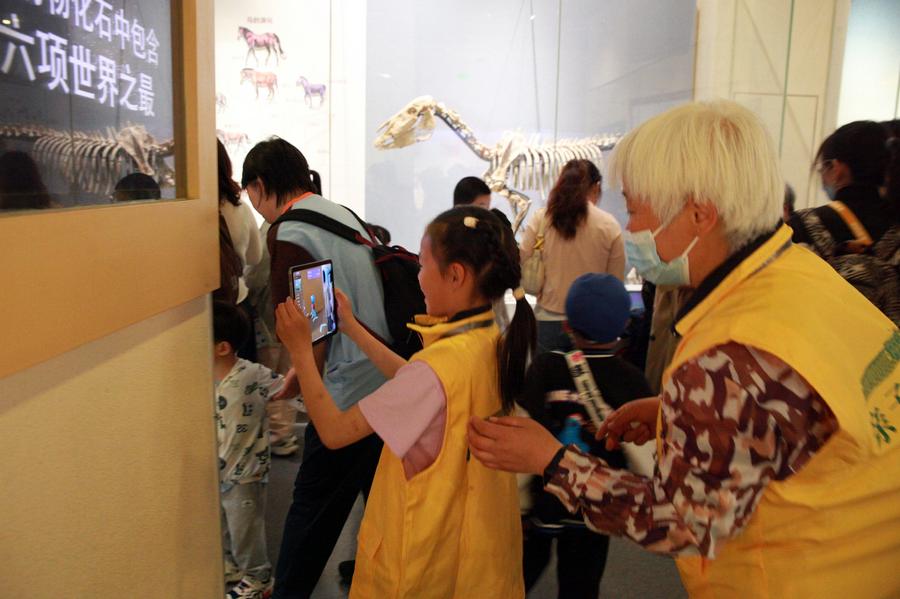 AR技术与小恐龙数字人导览系统逛博物馆