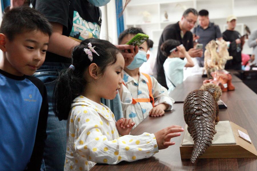 孩子们在探索中收获知识