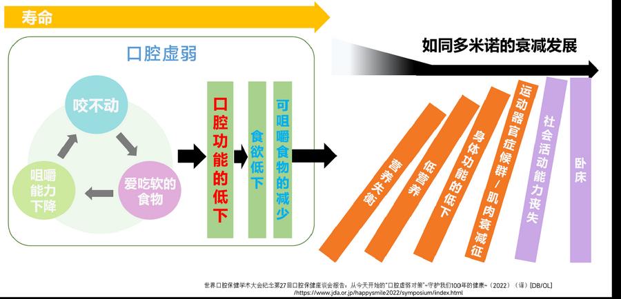 图4.口腔功能衰退的健康风险多米诺效应