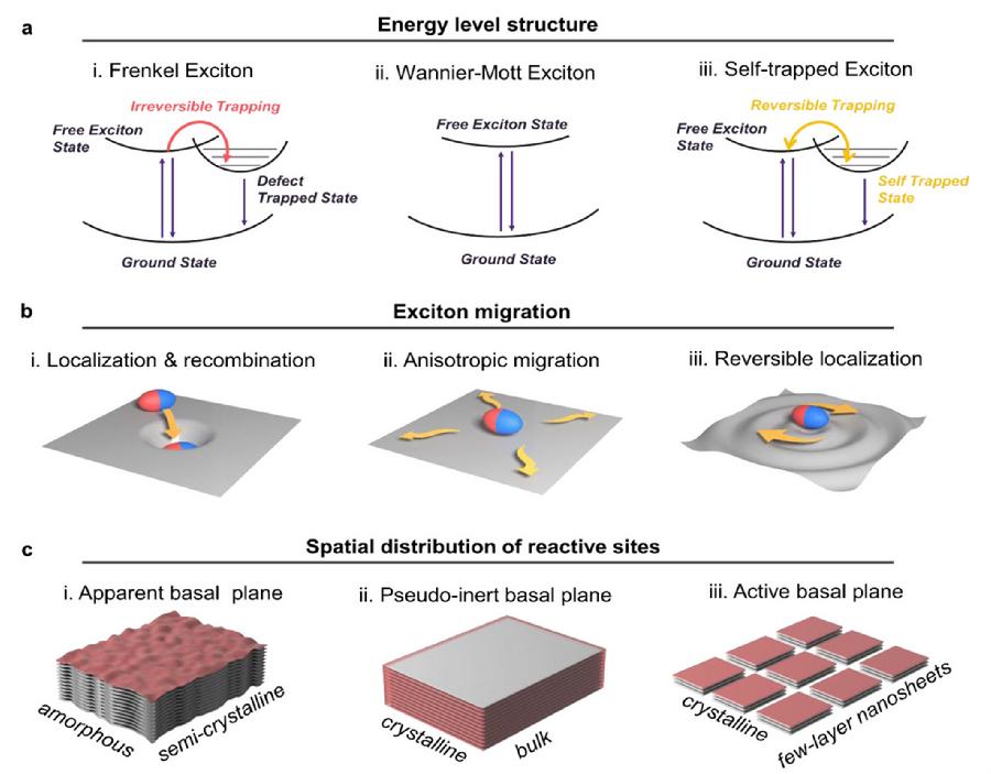 图1.晶体结构对激子迁移与基面活性的调控机制