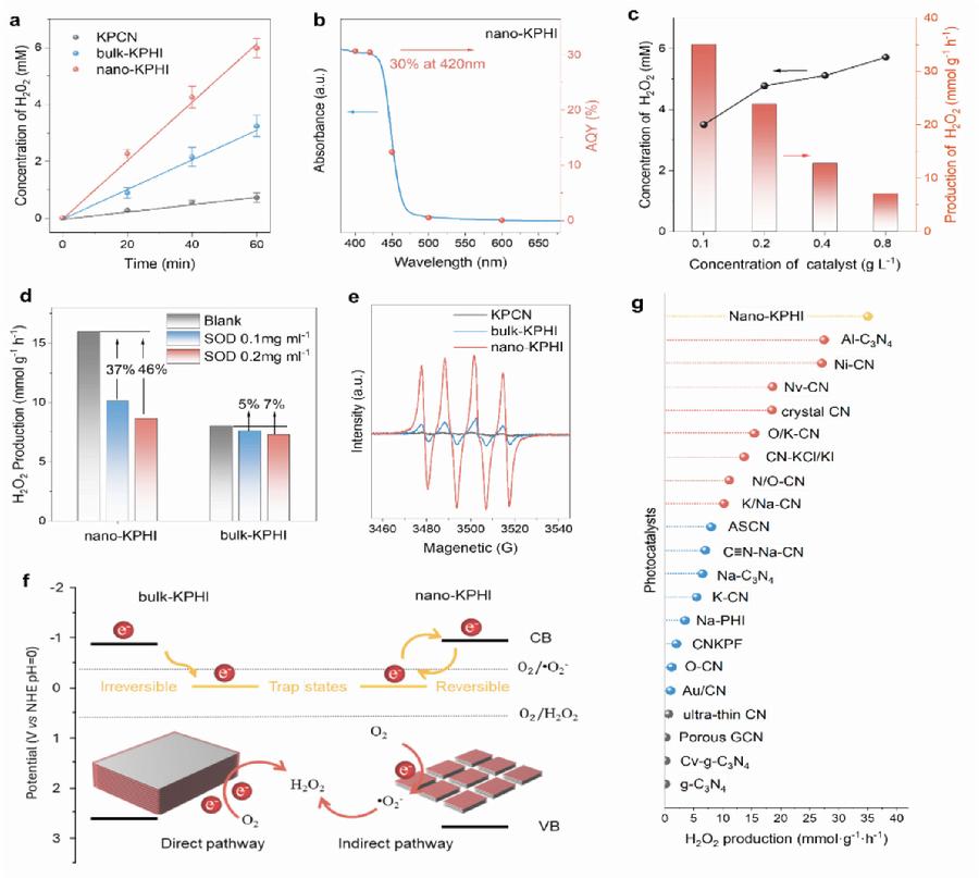 图5.光催化H₂O₂生成性能及反应路径分析