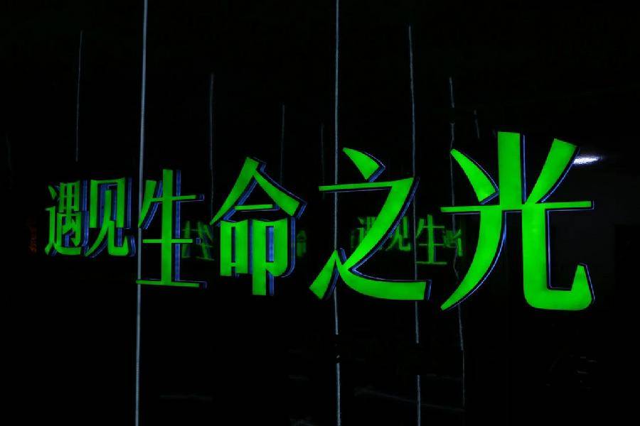 遇见生命之光发光植物微展览