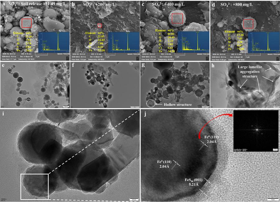 图2.反应后纳米ZVI-生物刺激耦合体系中铁颗粒的 SEM-EDS及其对应的HRTEM表征结果
