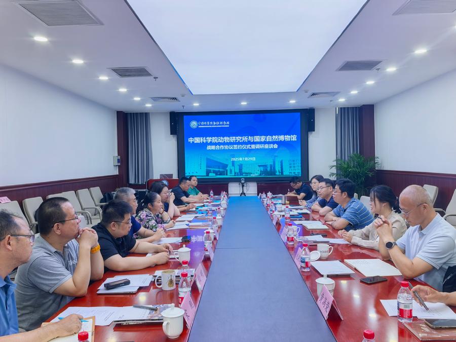 双方开展深入座谈