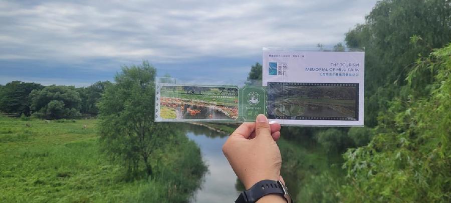 麋鹿回家40年系列文创