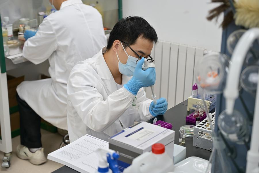 麋鹿中心开展麋鹿相关科研工作