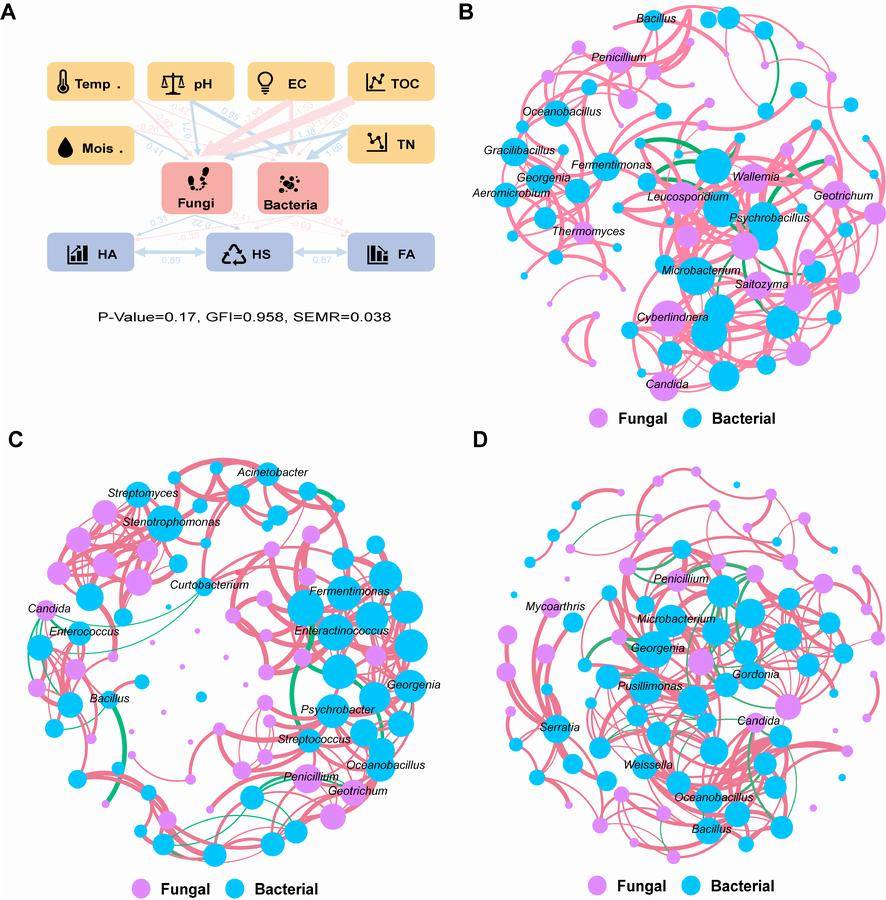 图 2.分批进料堆肥中的微生物相互作用