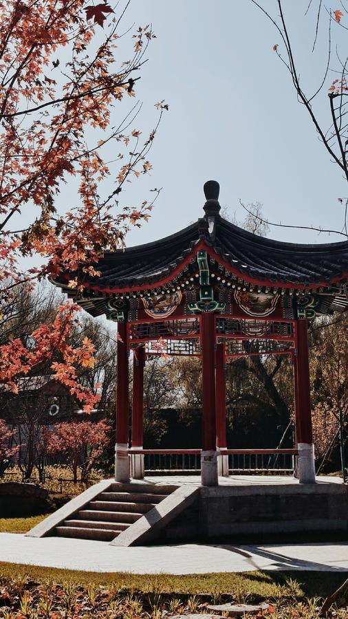 麋鹿保护纪念园景观亭