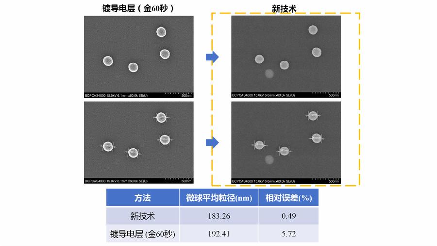 图2. 乳胶微球表面形貌和尺寸测量的实时表征