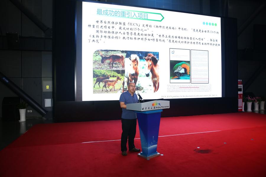 白加德介绍麋鹿保护情况