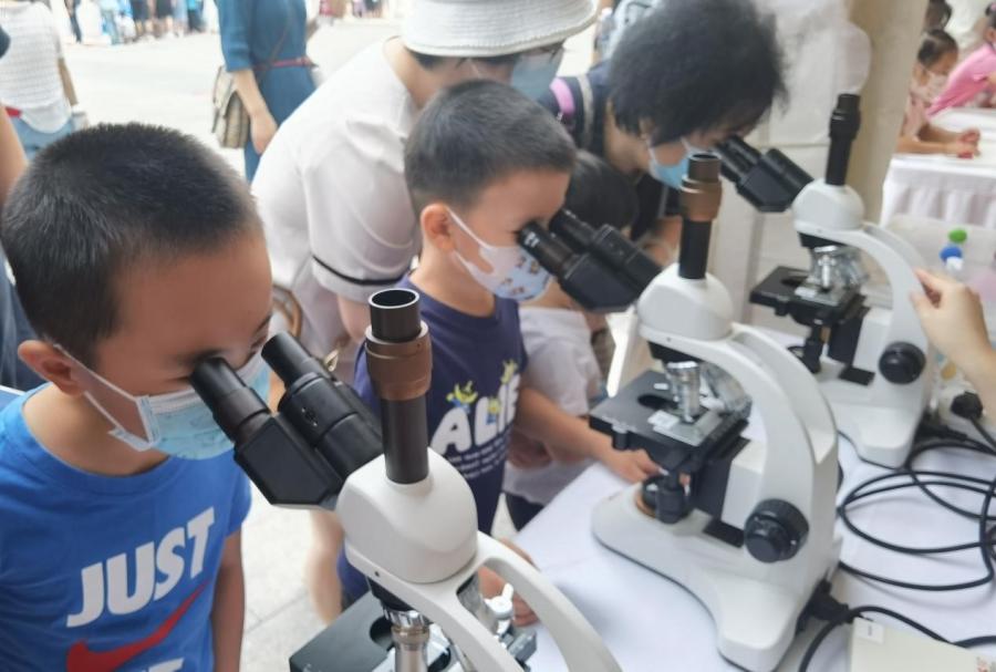 青少年通过显微镜观察昆虫触角