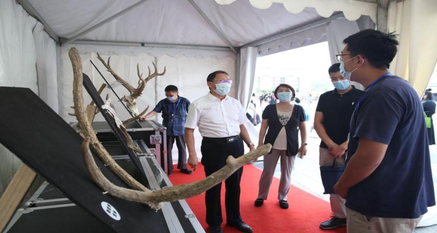 麋角之美系列展箱