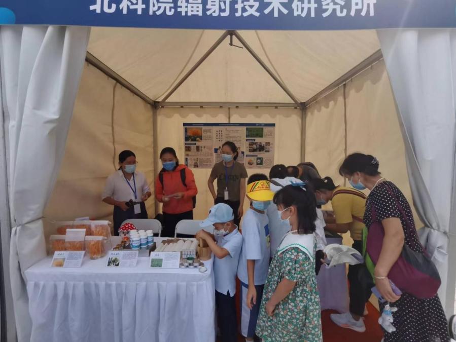 孩子们在制作艾绒